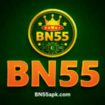 bn55 game