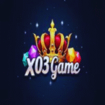 X03 Game