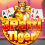 3 Patti Tiger