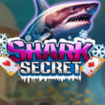 shark secret apk